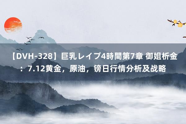 【DVH-328】巨乳レイプ4時間第7章 御姐析金：7.12黄金，原油，镑日行情分析及战略