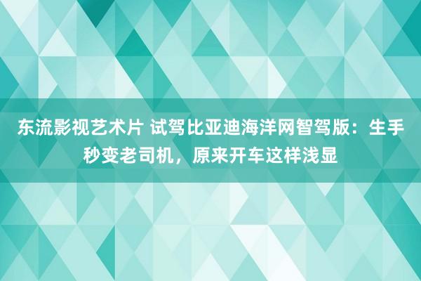 东流影视艺术片 试驾比亚迪海洋网智驾版：生手秒变老司机，原来开车这样浅显