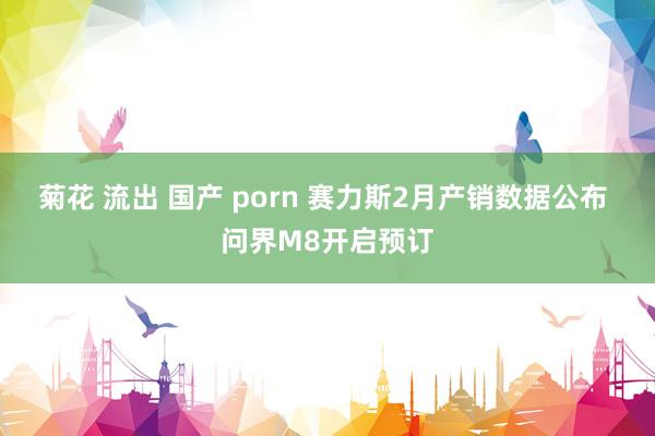 菊花 流出 国产 porn 赛力斯2月产销数据公布 问界M8开启预订