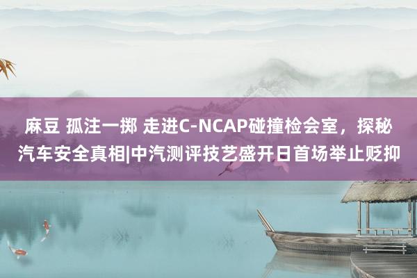 麻豆 孤注一掷 走进C-NCAP碰撞检会室，探秘汽车安全真相|中汽测评技艺盛开日首场举止贬抑
