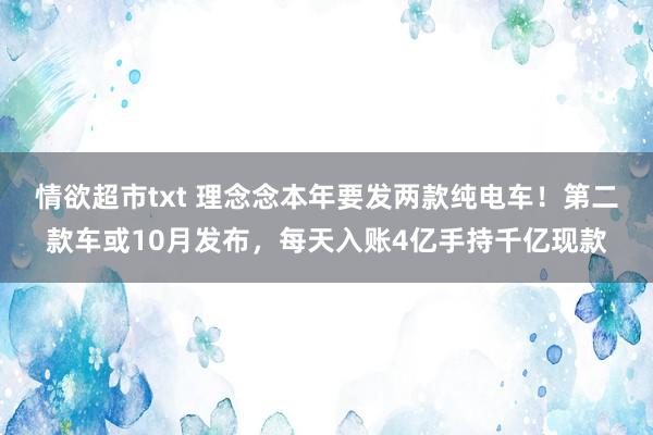 情欲超市txt 理念念本年要发两款纯电车！第二款车或10月发布，每天入账4亿手持千亿现款