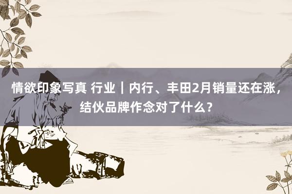 情欲印象写真 行业｜内行、丰田2月销量还在涨，结伙品牌作念对了什么？