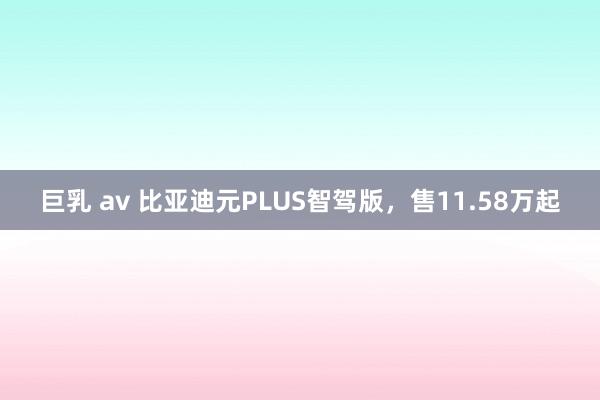 巨乳 av 比亚迪元PLUS智驾版，售11.58万起