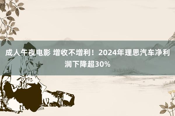 成人午夜电影 增收不增利！2024年理思汽车净利润下降超30%