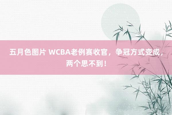 五月色图片 WCBA老例赛收官，争冠方式变成，两个思不到！