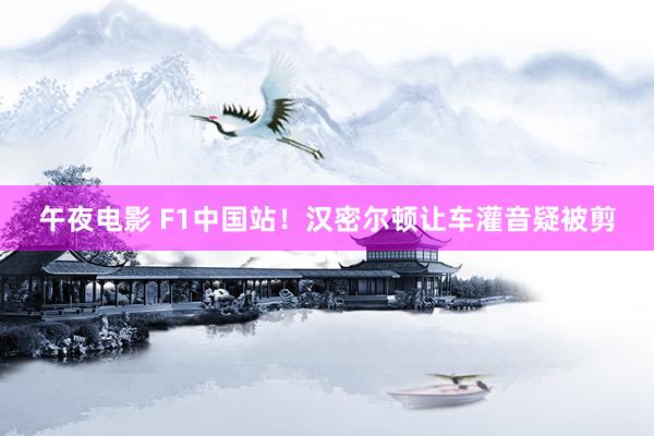 午夜电影 F1中国站！汉密尔顿让车灌音疑被剪