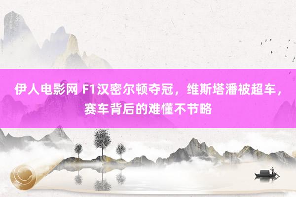 伊人电影网 F1汉密尔顿夺冠，维斯塔潘被超车，赛车背后的难懂不节略
