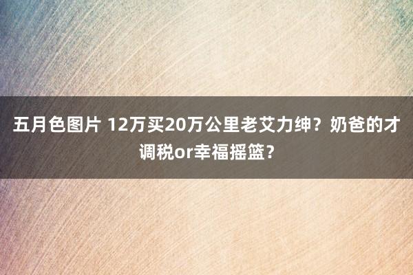 五月色图片 12万买20万公里老艾力绅？奶爸的才调税or幸福摇篮？