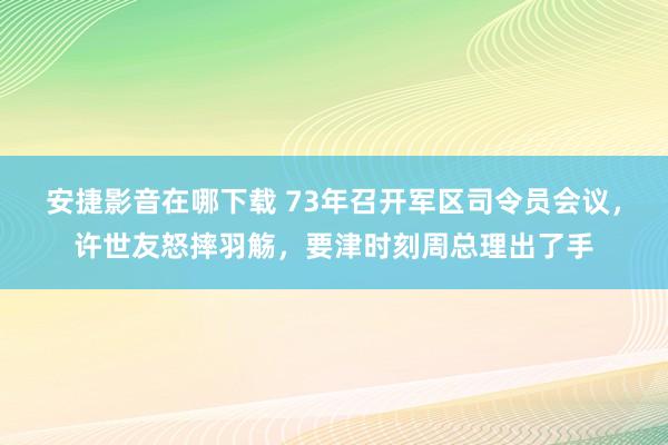 安捷影音在哪下载 73年召开军区司令员会议，许世友怒摔羽觞，要津时刻周总理出了手