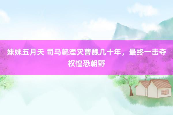 妹妹五月天 司马懿湮灭曹魏几十年，最终一击夺权惶恐朝野