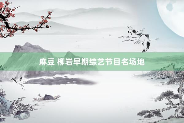 麻豆 柳岩早期综艺节目名场地