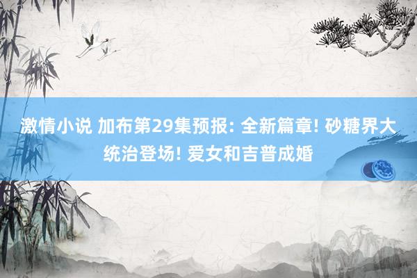 激情小说 加布第29集预报: 全新篇章! 砂糖界大统治登场! 爱女和吉普成婚