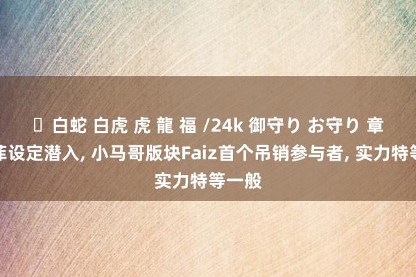 ✨白蛇 白虎 虎 龍 福 /24k 御守り お守り 章鱼奥菲设定潜入, 小马哥版块Faiz首个吊销参与者, 实力特等一般