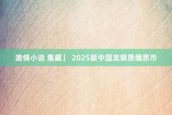 激情小说 集藏 ▏2025版中国龙银质缅思币