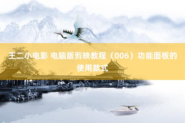 王二小电影 电脑版剪映教程（006）功能面板的使用款式