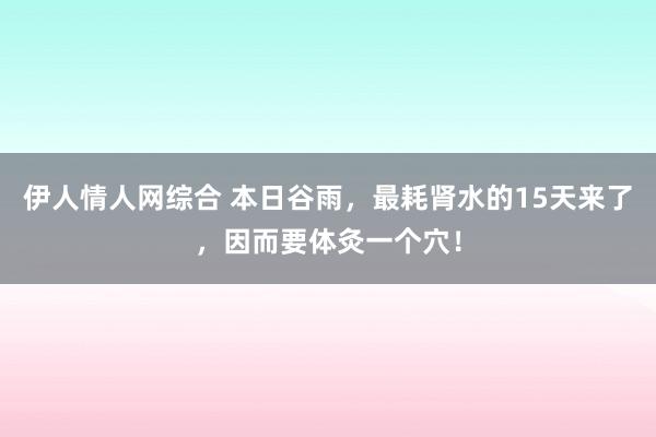 伊人情人网综合 本日谷雨，最耗肾水的15天来了，因而要体灸一个穴！