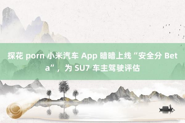 探花 porn 小米汽车 App 暗暗上线“安全分 Beta”，为 SU7 车主驾驶评估