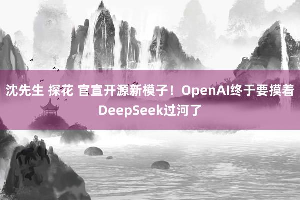沈先生 探花 官宣开源新模子！OpenAI终于要摸着DeepSeek过河了