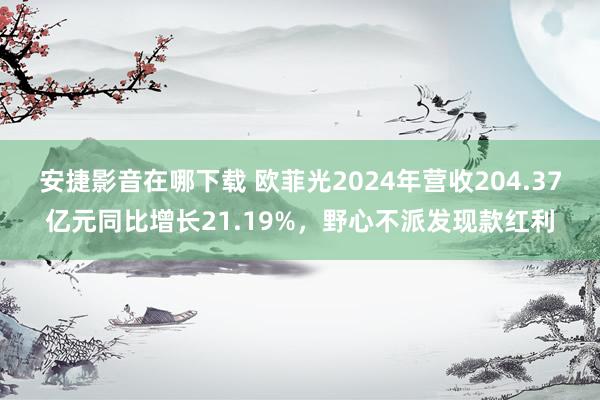 安捷影音在哪下载 欧菲光2024年营收204.37亿元同比增长21.19%，野心不派发现款红利