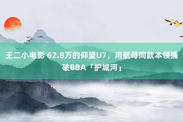 王二小电影 62.8万的仰望U7，用航母同款本领捅破BBA「护城河」
