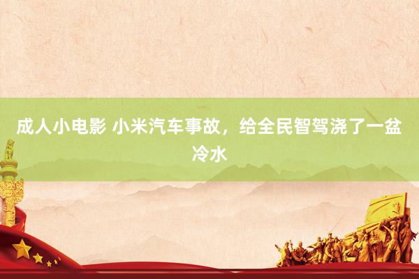 成人小电影 小米汽车事故，给全民智驾浇了一盆冷水