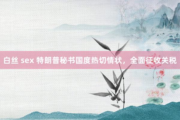 白丝 sex 特朗普秘书国度热切情状，全面征收关税