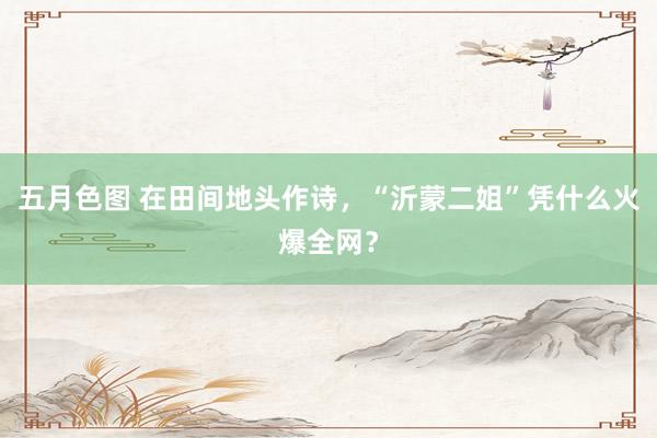 五月色图 在田间地头作诗，“沂蒙二姐”凭什么火爆全网？
